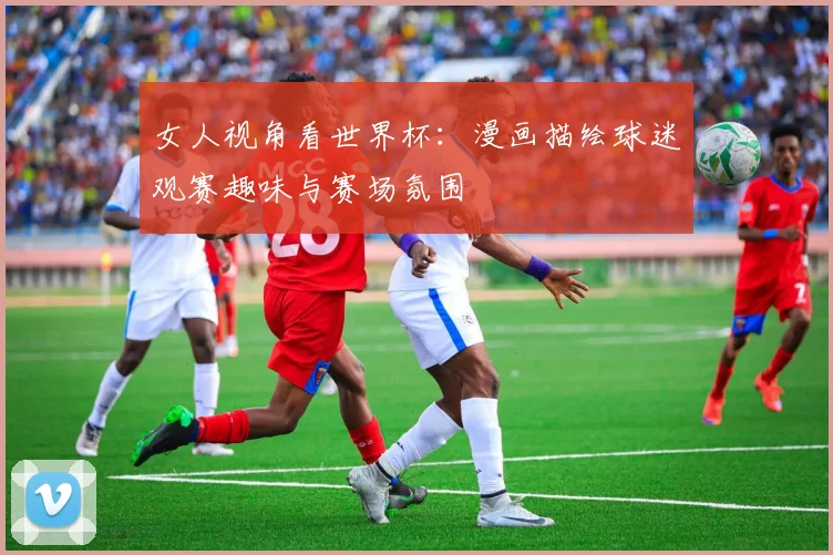 女人视角看世界杯：漫画描绘球迷观赛趣味与赛场氛围