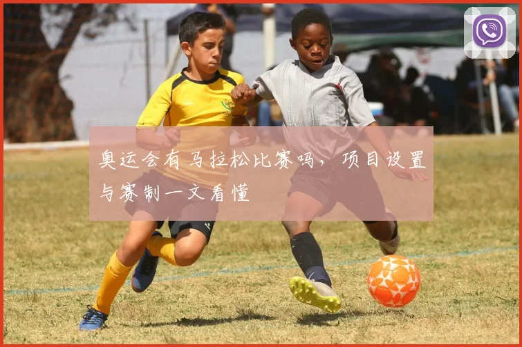 奥运会有马拉松比赛吗，项目设置与赛制一文看懂
