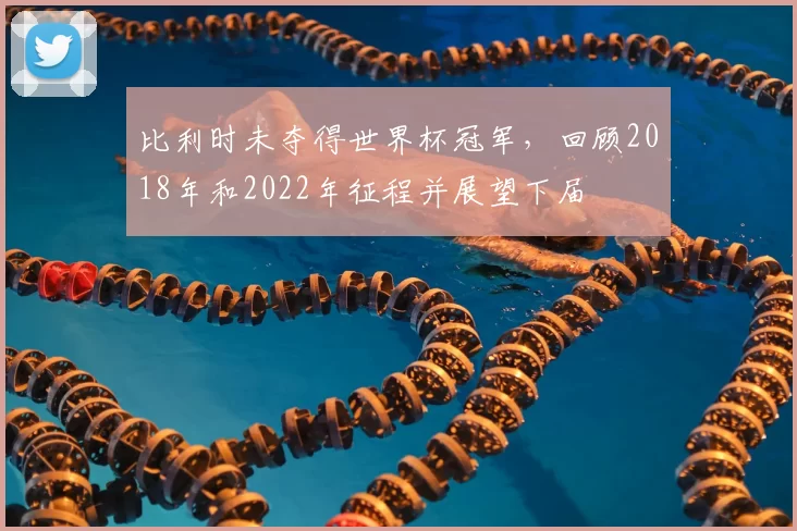 比利时未夺得世界杯冠军，回顾2018年和2022年征程并展望下届