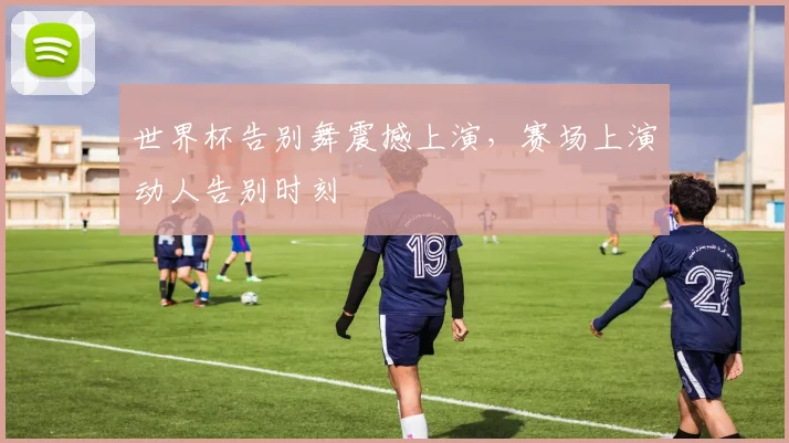 世界杯告别舞震撼上演,赛场上演动人告别时刻