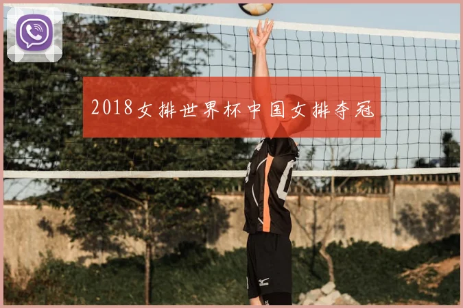 2018女排世界杯中国女排夺冠